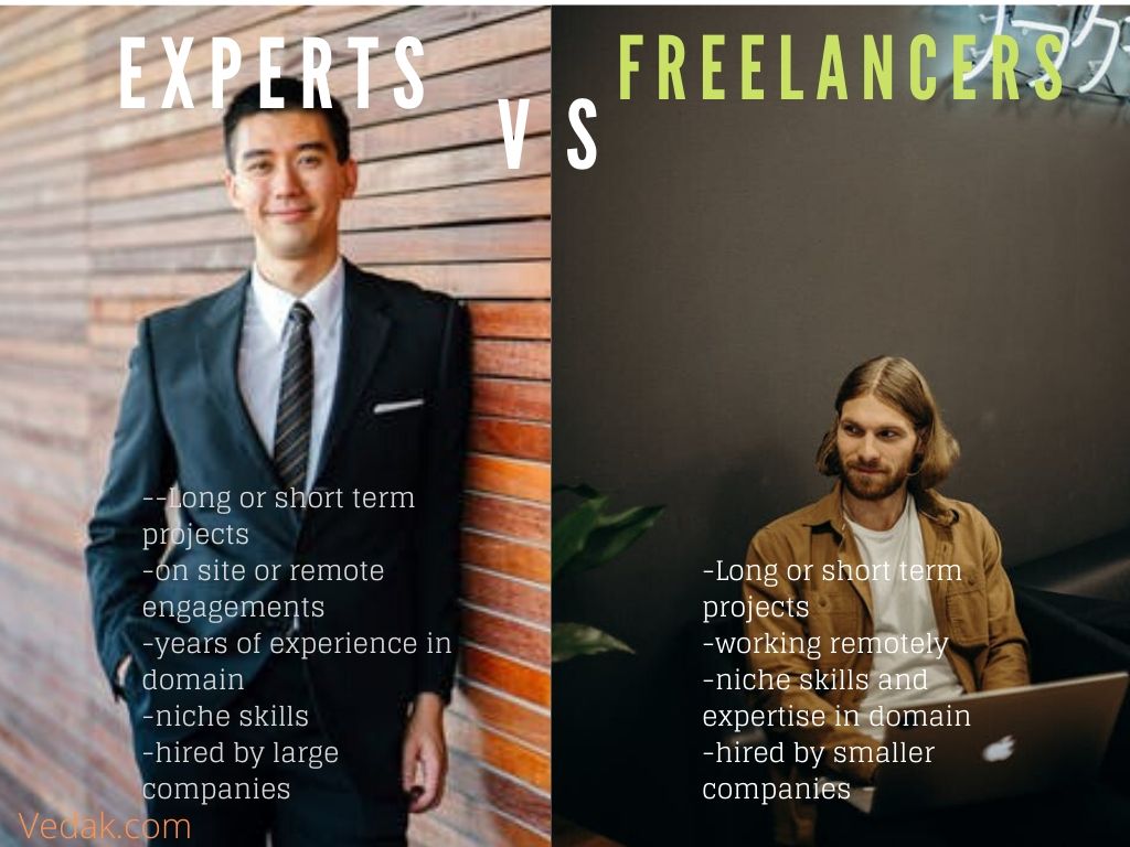 Experts and Freelancer Difference